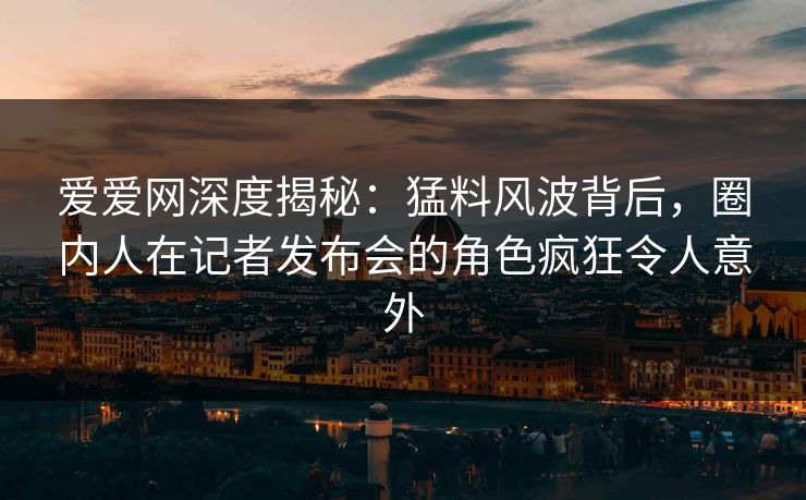 爱爱网深度揭秘：猛料风波背后，圈内人在记者发布会的角色疯狂令人意外