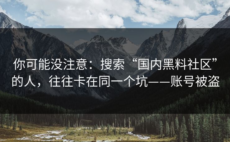 详细阅读:你可能没注意:搜索“国内黑料社区”的人,往往卡在同一个坑——账号被盗 你可能没注意:搜索“国内黑料社区”的人,往往卡在同一个坑——账号被盗
